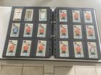 Complete set panini stickers FC Seraing 1983 (18 stuks), Verzenden, Nieuw, Poster, Plaatje of Sticker