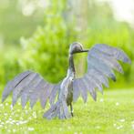 Beaux oiseaux - Cormoran, Oiseau de proie, Sexe inconnu