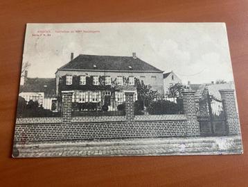 Postkaart Knocke: Habitation de Mme Nachtegaele -1908 beschikbaar voor biedingen