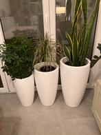 Witte bloem- of plantenpotten EHLO, Ophalen, Kunststof, Gebruikt, Rond