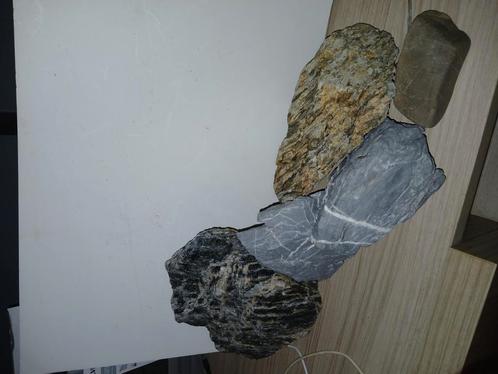 aquarium  sierstenen te koop . vanaf 35 euro ,bieden mag.  A, Dieren en Toebehoren, Vogels | Overige Vogels