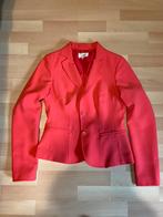 Rode blazer Kocca Jeans S, Kleding | Dames, Ophalen of Verzenden, Jasje, Maat 36 (S), Rood