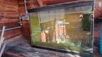 Gratis aquarium, Dieren en Toebehoren, Vissen | Aquaria en Toebehoren, Ophalen