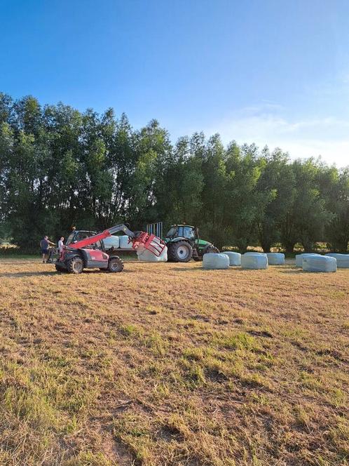Voordroog grote botten 2025 eerste snede, Dieren en Toebehoren, Dierenvoeding, Ophalen
