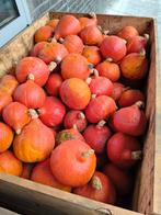 Bewaar pompoen Hokkaido per pallox of big bag. 400 kg, Ophalen