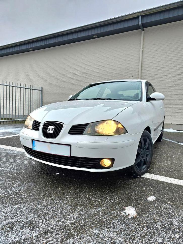 **SEAT IBIZA 1.4 BENZINE GEKEURD**, Auto's, Seat, Particulier, Ibiza, ABS, Airbags, Airconditioning, Boordcomputer, Cruise Control
