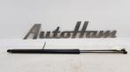 GASDRUKVEERSET ACHTER Kangoo Express (FW) (|8200497806|), Gebruikt, Renault
