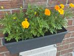 Jardinière en fleurs, Ophalen of Verzenden