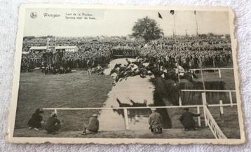 carte postale Waregem koerse, Enlèvement ou Envoi