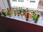 Oude kleine flesjes sterke drank, smeets, bols, cognac enz, Verzamelen, Ophalen of Verzenden