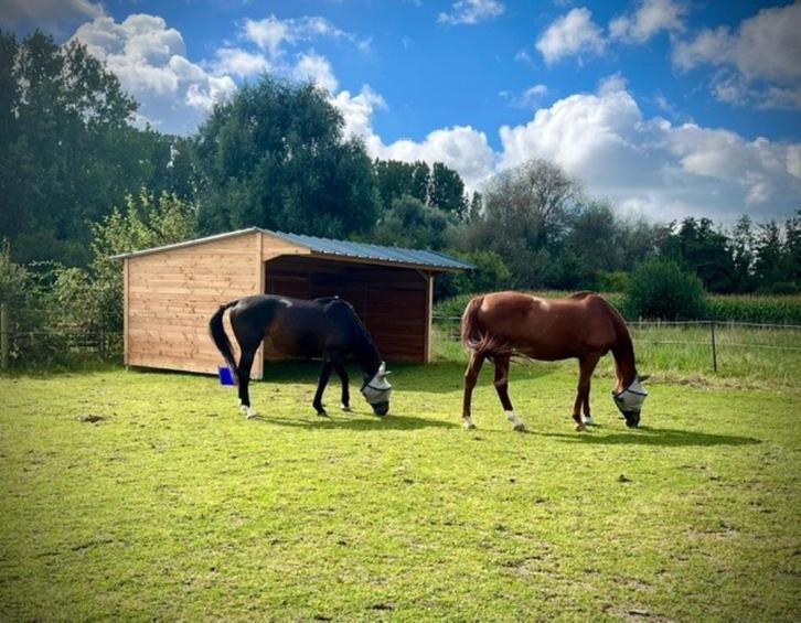 Schuilhok 4x6m in massief Douglashout 'Op voorraad', Dieren en Toebehoren, Stalling en Weidegang, Stalling, 2 of 3 paarden of pony's
