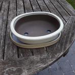 Vasque pour bonzaï, Intérieur, Moins de 25 cm, Comme neuf, Enlèvement