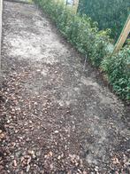 Gratis goed grond op te halen, Enlèvement