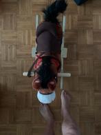 Paardjes, Dieren en Toebehoren, Ophalen of Verzenden, Zo goed als nieuw