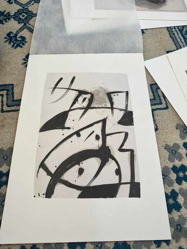 Belles impression Miro, Antiek en Kunst, Kunst | Litho's en Zeefdrukken, Ophalen