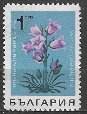 Bulgarije 1968 - Yvert 1583 - Campanula alpina (ST)
