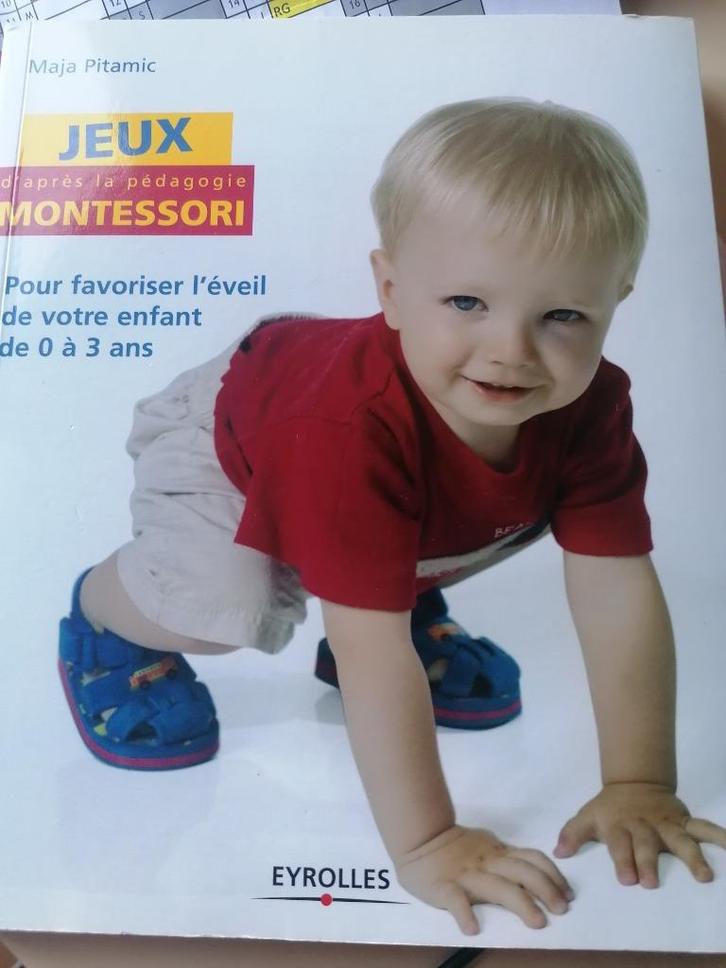 Livre jeux d'après la pédagogie Montessori, Boeken, Psychologie, Zo goed als nieuw, Ophalen of Verzenden