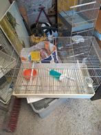 Cage d'élevage oiseaux, Ophalen, Zo goed als nieuw, Broedkooi of Kweekkooi