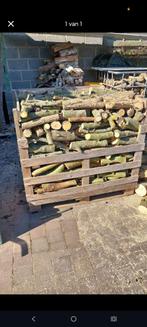 brandhout 80euro/m3, Tuin en Terras, Brandhout, Ophalen, Stammen