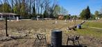 1 stal beschikbaar, Dieren en Toebehoren, Weidegang, 1 paard of pony