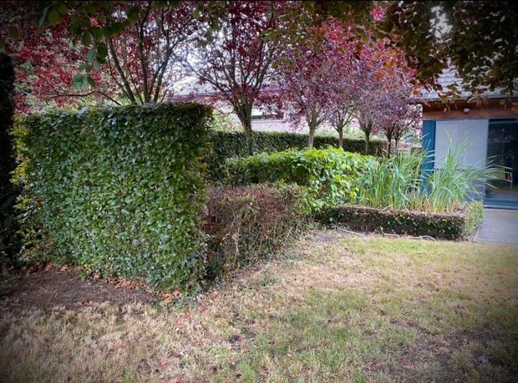 Onderhoud/snoeiwerken, Tuin en Terras, Tuinmeubel-accessoires, Ophalen