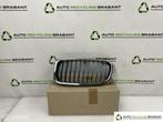 Grill Links BMW 3 serie F30 330E BLAUW NIEUW 51137475967, Auto-onderdelen, Gebruikt, Ophalen of Verzenden