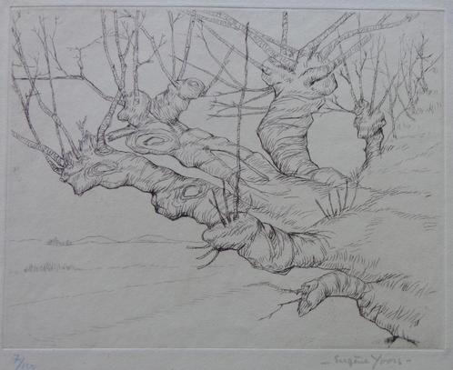 EUGENE YOORS / TAK VAN EEN BOOM / ZW-W ETS / 28x23cm / SIG, Antiek en Kunst, Kunst | Etsen en Gravures, Ophalen of Verzenden