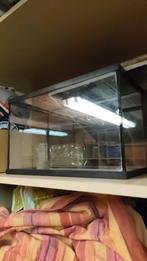 Visbokaal, Dieren en Toebehoren, Vissen | Aquaria en Toebehoren, Ophalen