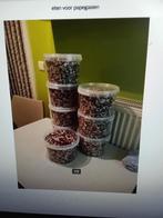 papegaai eten, Dieren en Toebehoren, Papegaai