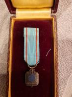Médaille de reconnaissance de la FNI, Collections, Autres, Enlèvement ou Envoi, Ruban, Médaille ou Ailes