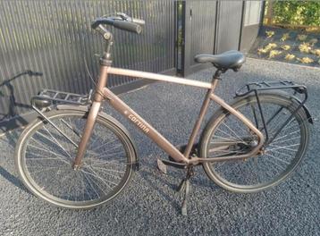 Vélo Cortina homme 