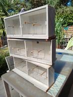 africhtingskooien, Dieren en Toebehoren
