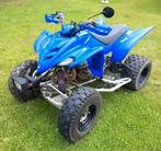 Raptor 350 2005, Motoren