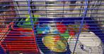 hamsterkooi, Ophalen, Zo goed als nieuw, Kooi, Hamster