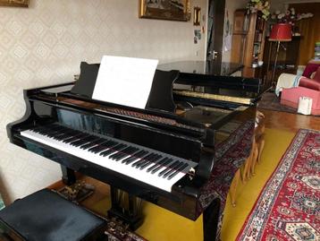 Vleugel-piano beschikbaar voor biedingen