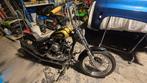 Harley Ironhead Sportster '81, Motoren, Particulier, Chopper