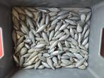 Lood van 125gr en 150gr., Ophalen, Zo goed als nieuw
