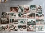 20 chromos timbre Tintin le zoo d,Anvers 3 D met bril, Gebruikt, Ophalen of Verzenden