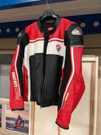 Te koop ducati motorjas, Motoren, Kleding | Motorkleding, Ophalen