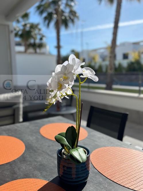 Leuk vakantie appartement met gemeenschappelijk zwembad, Immo, Expat Rentals, Benedenwoning, A++