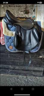 Zaldi, Animaux & Accessoires, Enlèvement, Comme neuf, Obstacle