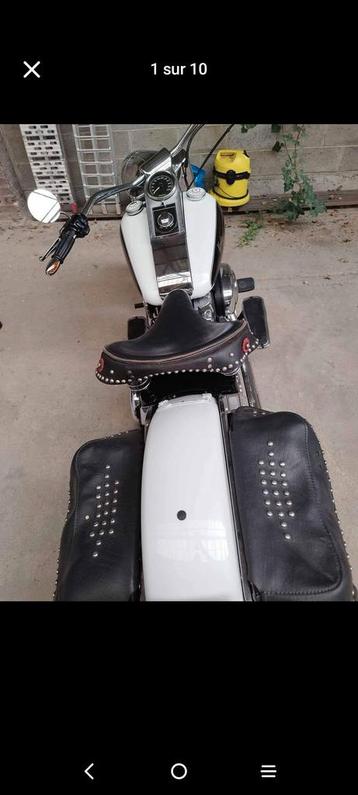 Harley Davidson softail de 1991, Particulier