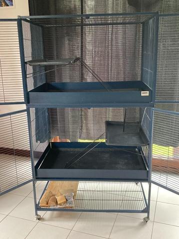 Knaagdierenkooi SUITE ROYAL 95 DOUBLE SAVIC blauw, 90 cm ou plus, Cobaye, 75 à 110 cm, Cage
