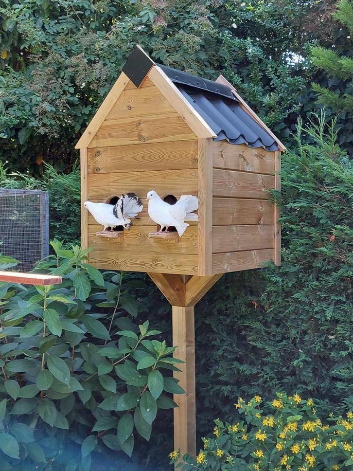 Duiventil - duivenhok - voliere - op maat, Dieren en Toebehoren, Vogels | Duiven