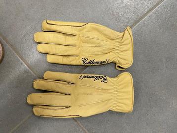 Rijhandschoenen beschikbaar voor biedingen