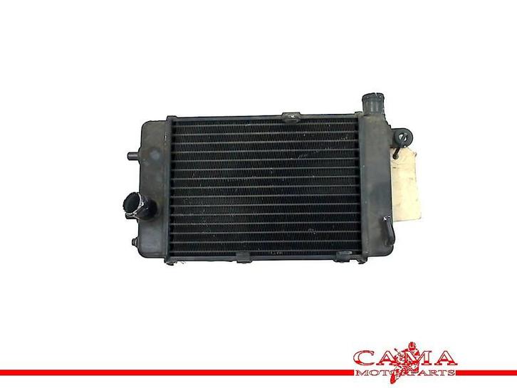 RADIATEUR Aprilia Falco 1000 1999-2003 (SL1000), Motoren, Onderdelen | Overige, Gebruikt
