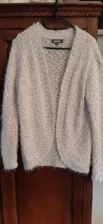 Bel & Bo vest glitter maat M € 15, Kleding | Dames, Ophalen of Verzenden, Zo goed als nieuw