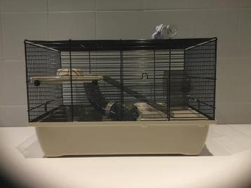 Nieuwe hamsterkooi  beschikbaar voor biedingen