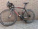 koersfiets Ridley M 52-53, Fietsen en Brommers, Fietsen | Racefietsen, Overige merken, 28 inch, Gebruikt, Carbon