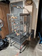 Papegaaienkooi 'Strong Sara' met veel speeltjes, Dieren en Toebehoren, Ophalen, Zo goed als nieuw, Metaal, Vogelkooi